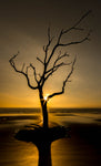 products/01012015-DSC00776.jpg