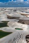 Oasis