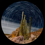 Estrellas del Desierto