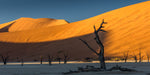 Estatuas del Desierto