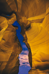 products/Captura_de_Pantalla_2019-09-16_a_la_s_16.19.35.png