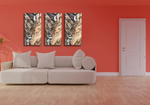 products/Captura_de_Pantalla_2019-12-15_a_la_s_12.02.38.png