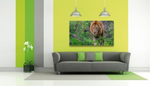 products/Captura_de_Pantalla_2020-01-16_a_la_s_15.34.23.png