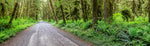 Naturaleza Urbana
