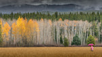 products/DSC05024-Editar.jpg