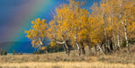 products/DSC05212-Editar.jpg