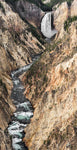 Agua de Vida