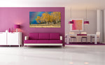 products/arcoiris.jpg