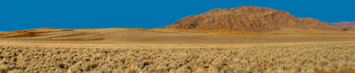 Panoramic Desert